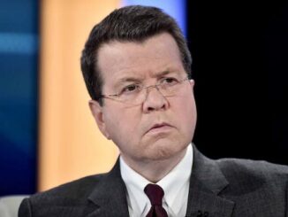 Neil Cavuto Photo